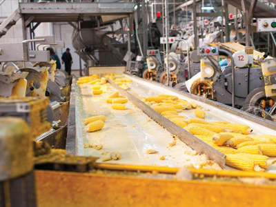 Starch Industry